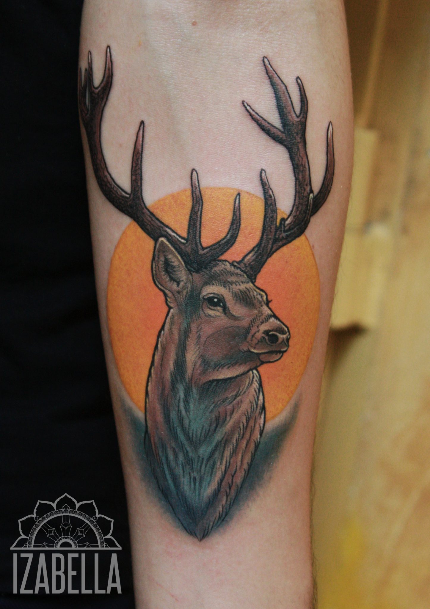 A colorful tattoo featuring a detailed stag's head set against a vibrant orange sun. The stag has intricate antlers and realistic fur textures, with shades of brown and gray, bringing the image to life. This nature-themed tattoo is perfect for wildlife enthusiasts.