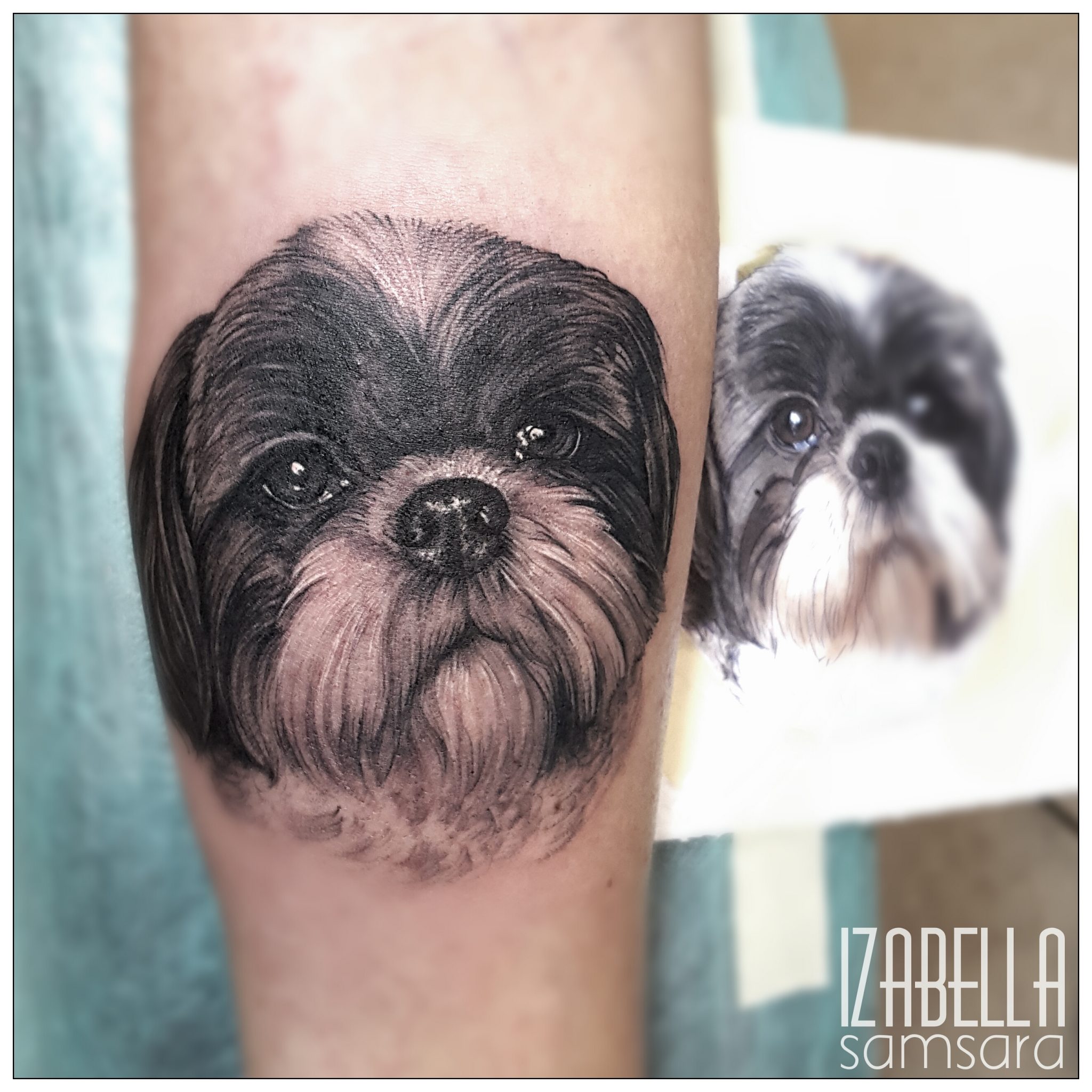 A realistic black and gray tattoo of a dog's face, featuring intricate details such as bright eyes, a textured fur coat, and a distinct expression. The tattoo captures the essence of a small breed dog, showcasing its playful yet gentle demeanor. The design is done in a lifelike style, making it appear almost photograph-like.