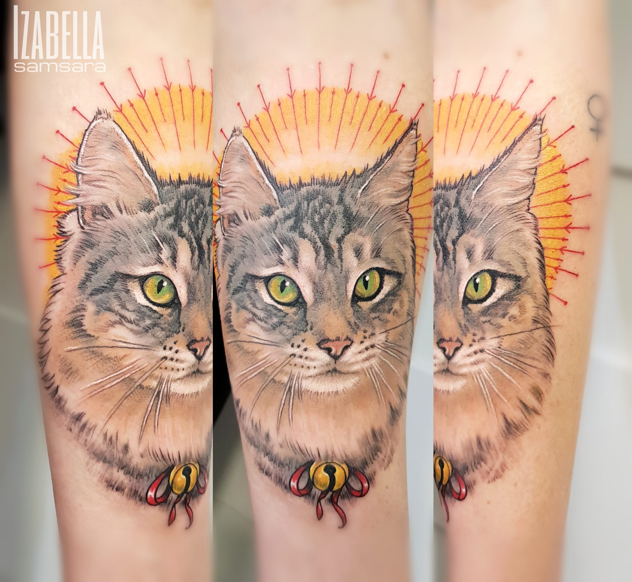 A vibrant tattoo featuring a close-up portrait of a gray cat with striking green eyes. The cat is adorned with a halo of orange rays behind its head, reminiscent of a sunburst, and a decorative element at the neck with red ribbons and a yellow circle, enhancing its aesthetic appeal. This colorful design highlights detailed fur textures and emphasizes the cat's expressive facial features.