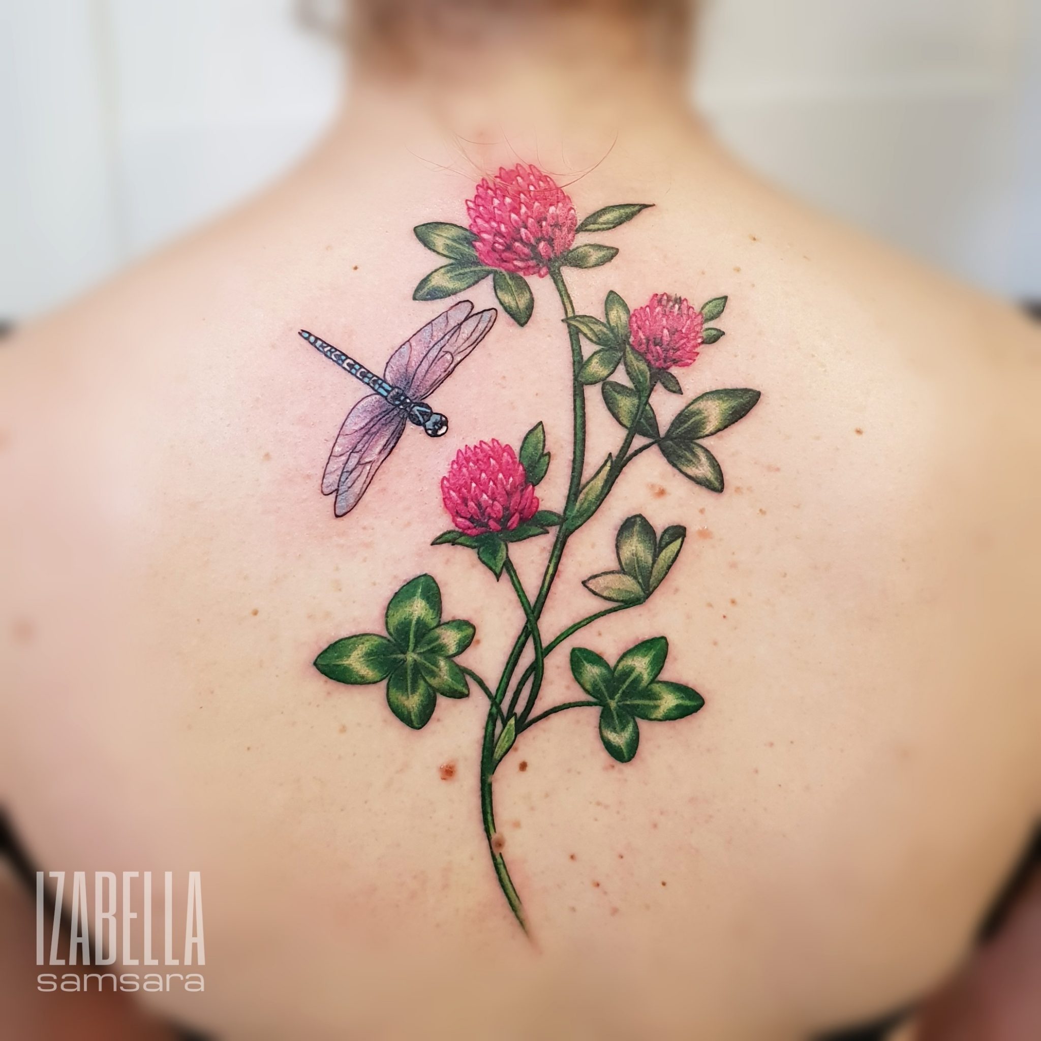 A vibrant tattoo featuring a detailed dragonfly hovering above a green clover plant with pink clover flowers on the upper back. The design is colorful and intricately shaded, capturing the elegance of nature.