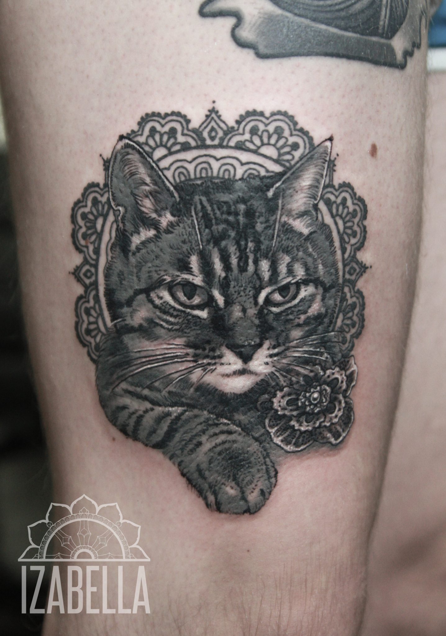 A detailed black and gray tattoo of a cat's face, featuring intricate lines and shading. The cat has a serious expression, with striking eyes and distinct fur patterns. Surrounding the cat is a decorative lace-like mandala design, enhancing the artwork's elegance. The tattoo is placed on the thigh, showcasing both artistry and realism.