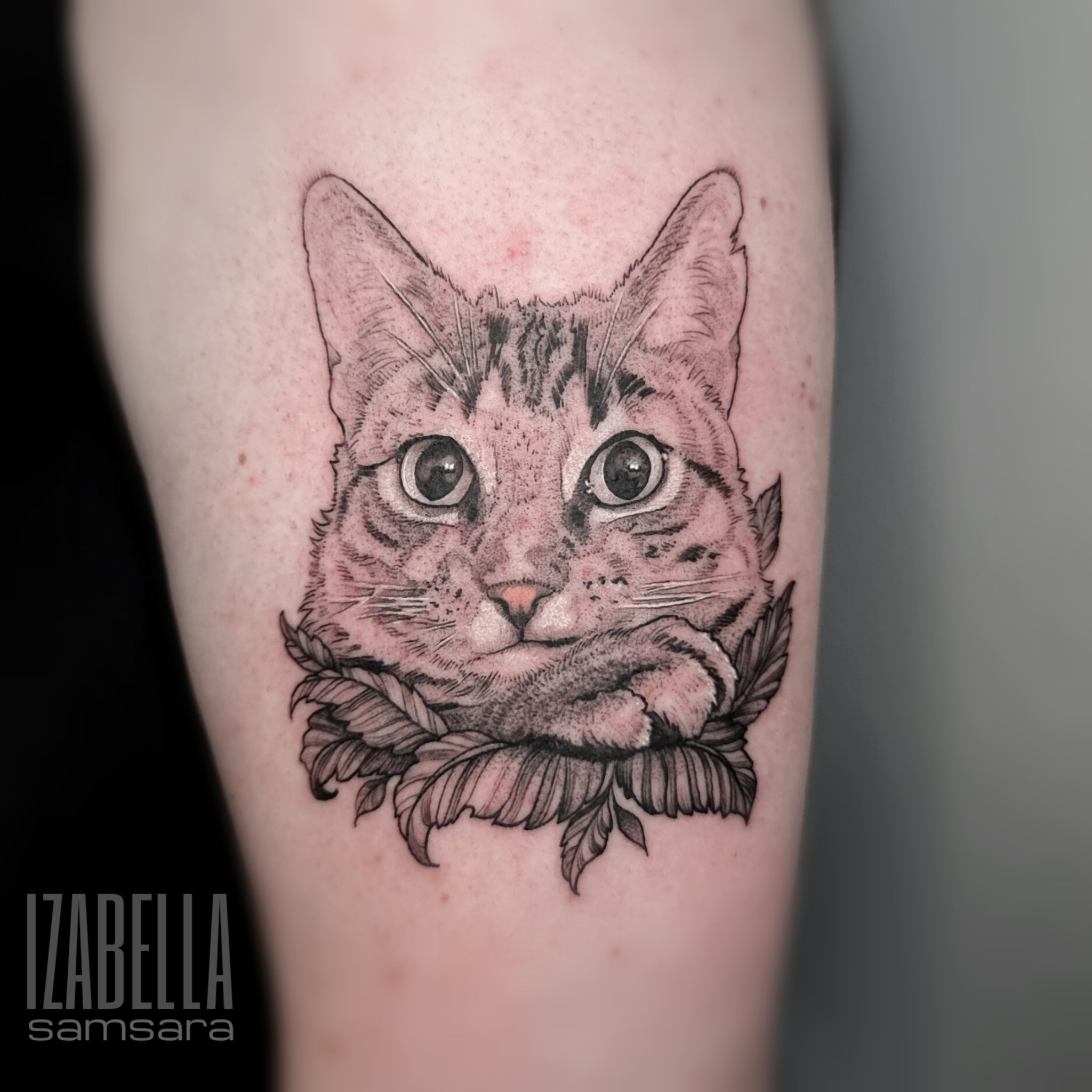 A detailed black and gray tattoo featuring a cat's face with large, expressive eyes, resting its chin on its paws. The cat is surrounded by delicate leaf elements, creating an organic frame. The tattoo demonstrates intricate line work and shading, highlighting the cat's fur texture and facial expressions.