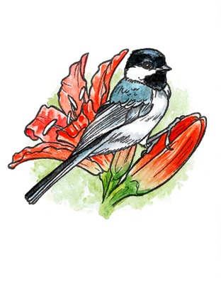 A colorful tattoo featuring a detailed illustration of a bird perched on vibrant orange flowers. The bird has a distinctive black cap and a blue-grey body, beautifully contrasted against the vivid petals. This tattoo design captures the essence of nature with a harmonious balance of colors and intricate details.