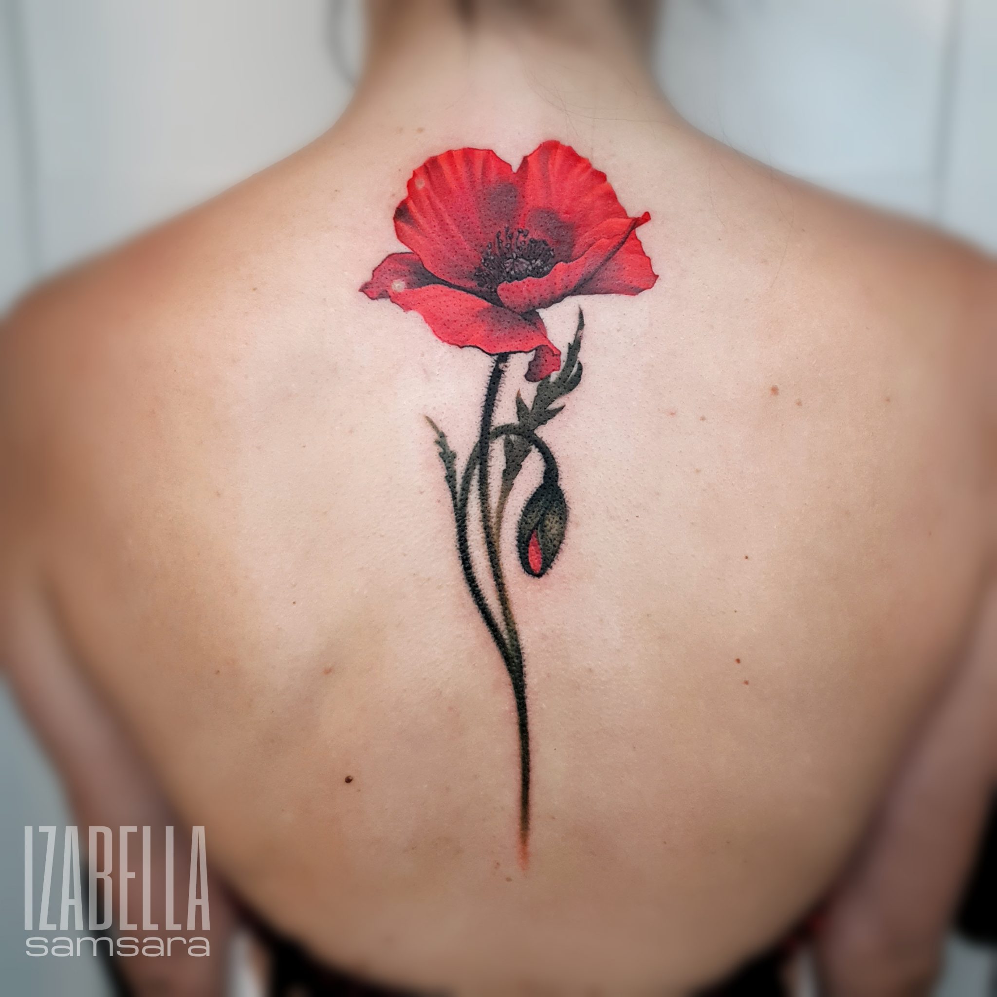 A vibrant red poppy flower tattoo on the upper back, showcasing detailed petals and green stems, with a closed bud nearby. The tattoo features a realistic style, with shading that adds depth and dimension to the design.