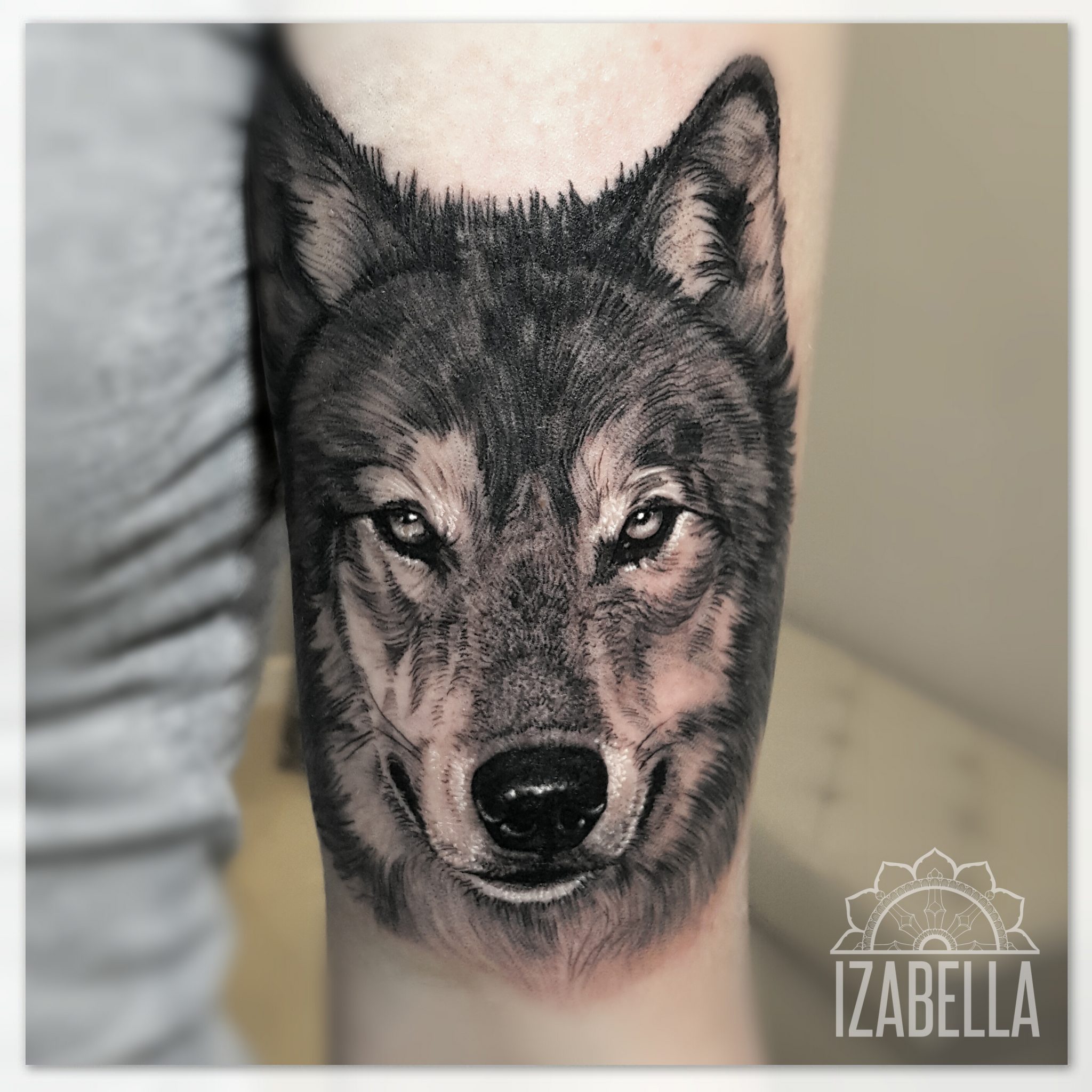 A detailed black and white tattoo of a wolf's face, showcasing intricate fur textures, piercing eyes, and a lifelike expression. The tattoo emphasizes the wolf's powerful features and is positioned on the forearm.