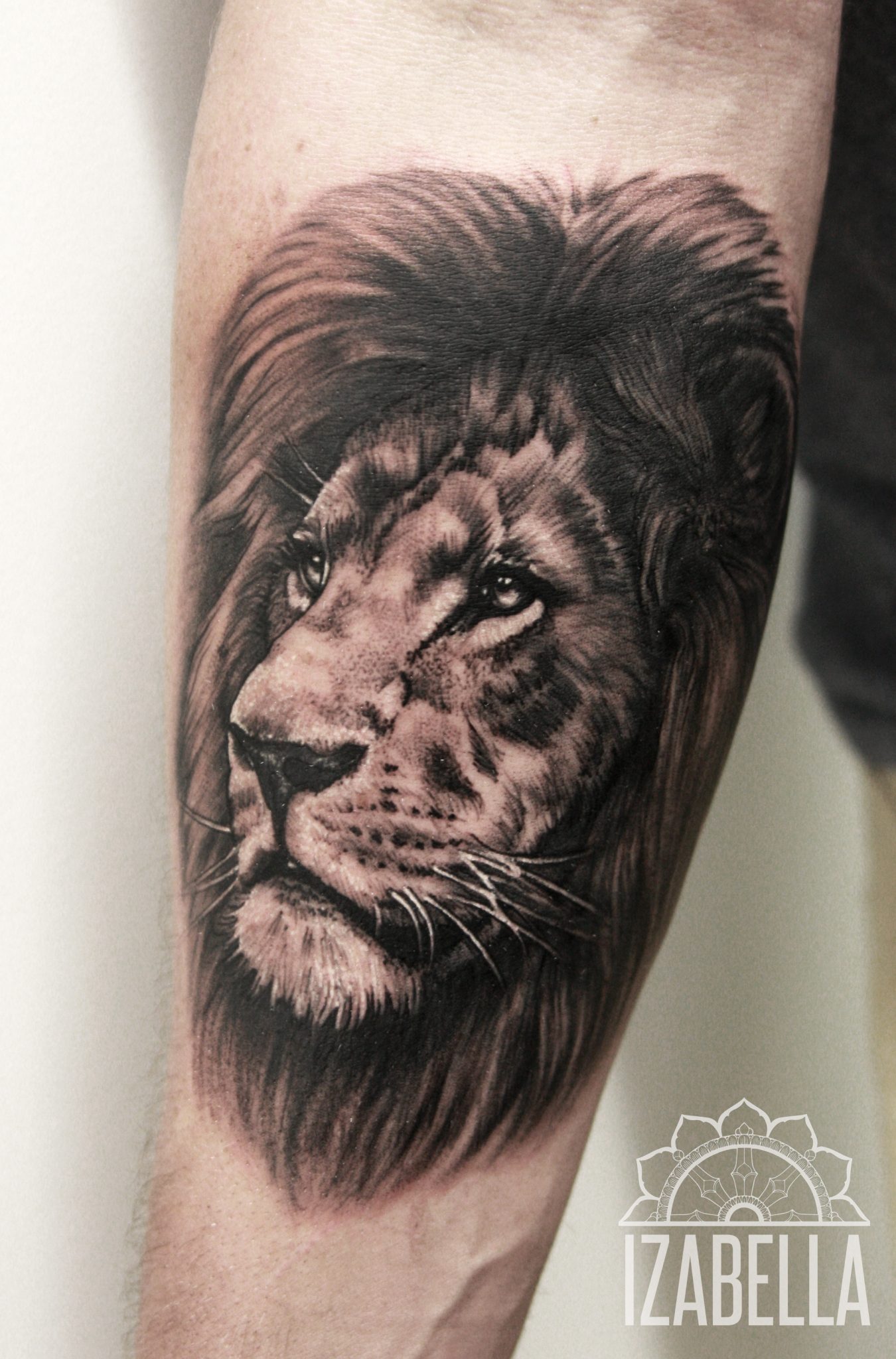 Detailed black and gray tattoo of a lion's head featuring intricate shading and realistic textures. The lion's expression is fierce with penetrating eyes and a majestic mane that flows elegantly. The tattoo is located on the forearm, showcasing the artistry of realism in body art.