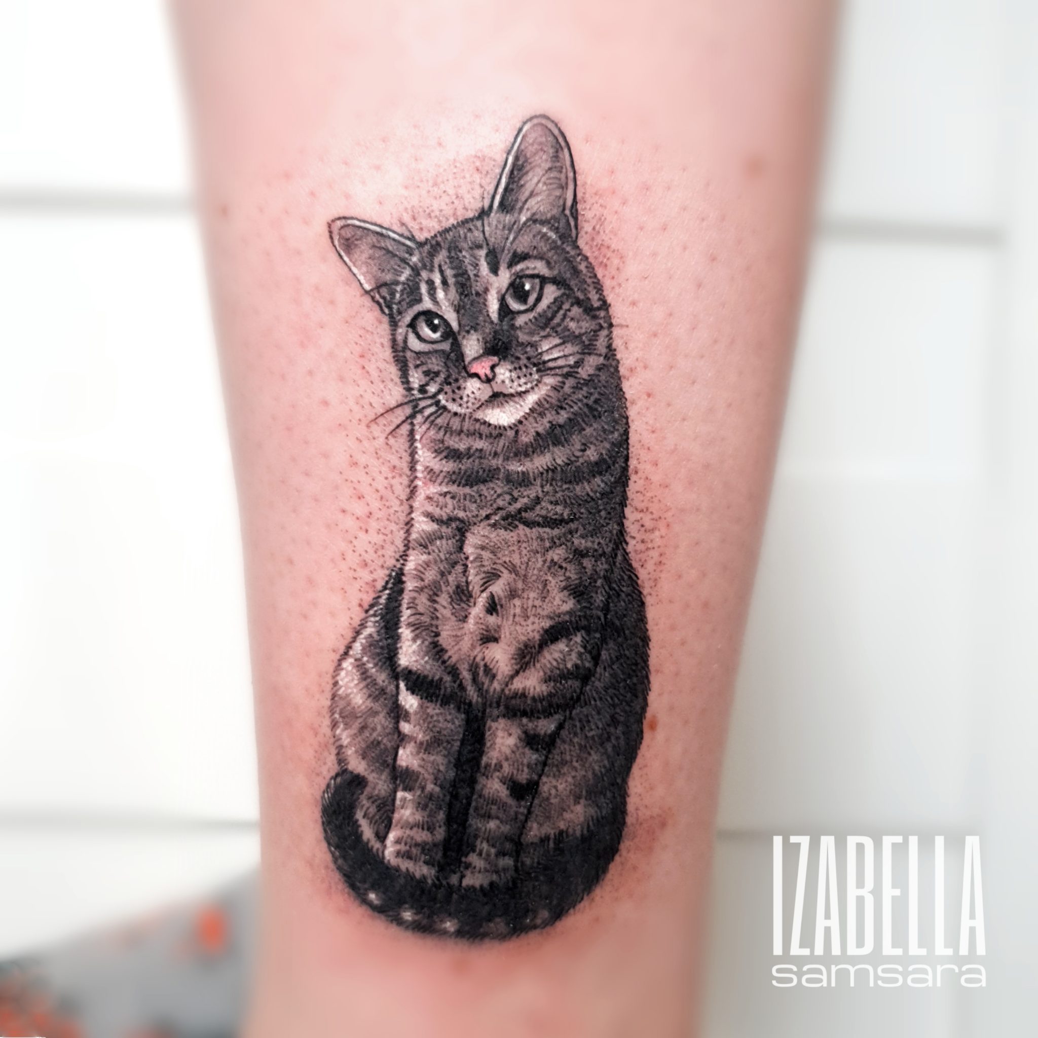 Black and gray tattoo of a sitting tabby cat with distinctive stripes, a cute expression, and detailed fur texture, located on the forearm.