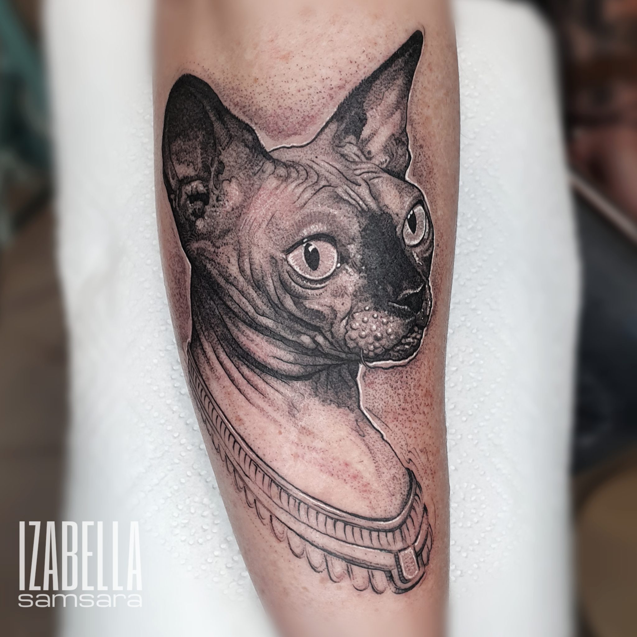 Black and white tattoo of a sphynx cat with a distinctive collar, featuring detailed shading and intricate lines. The cat's face is prominently displayed, showcasing its unique features and expressions.