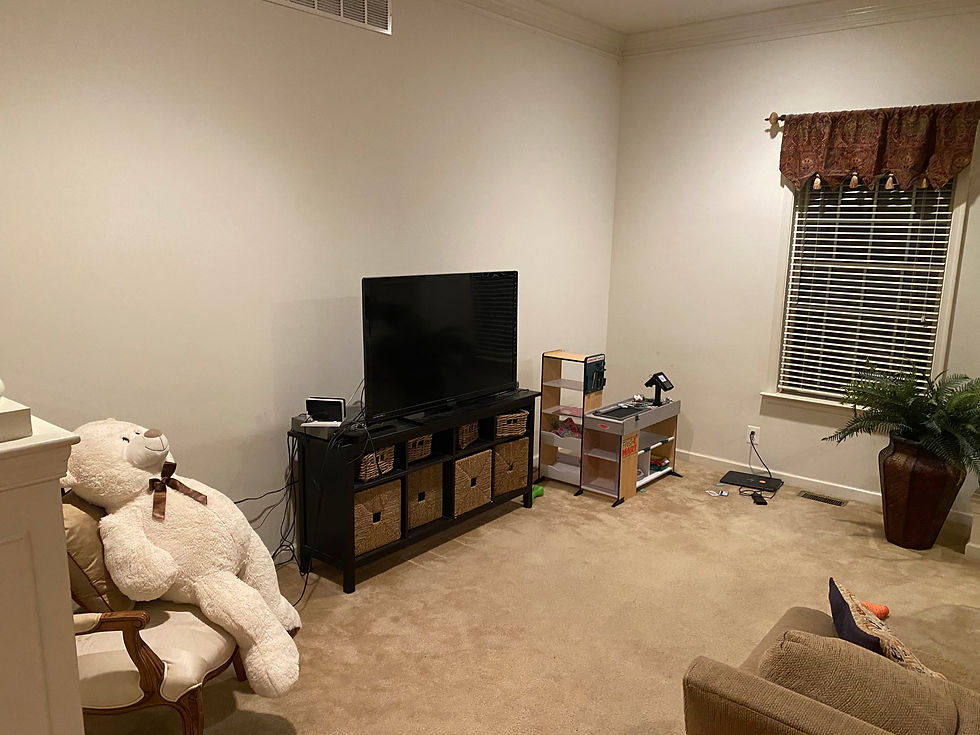 Lansdale Clients: Living Room
