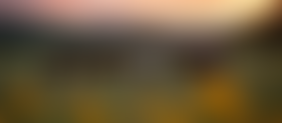 Empowering Veterans Through Equine-Assisted Therapy