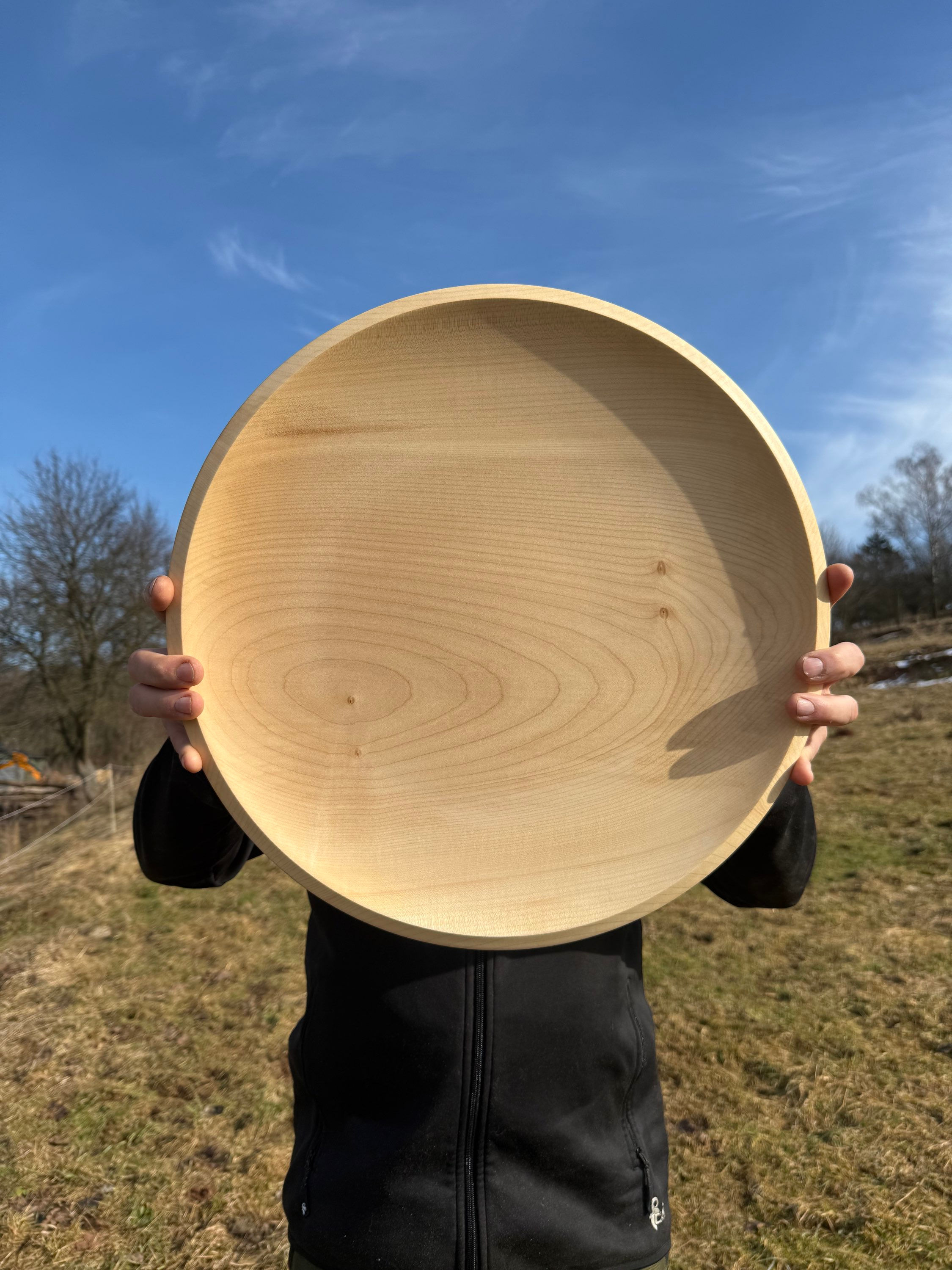 Javorový velký tác