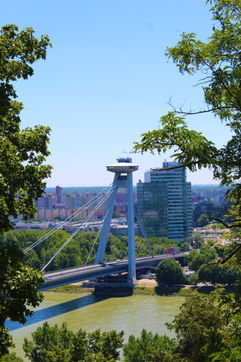 IMG_2810.JPG