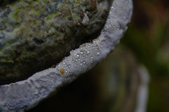 IMG_3048.JPG