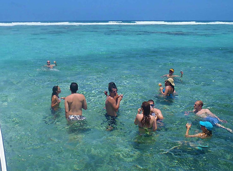 Mata Rock Mexico.jpg