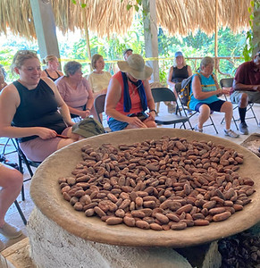 Mayan Chocolate Beans