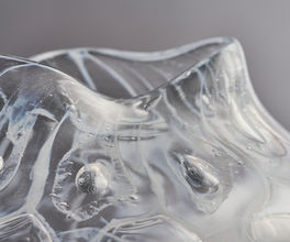 Porifera Opaline dream detail