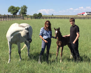 mom_kyle_horses.jpeg