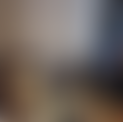 2025年を振り返って