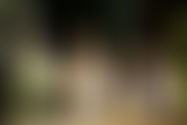 «Ти особливий». В Ужгороді пройшла прем'єра мюзиклу для всієї сім'ї