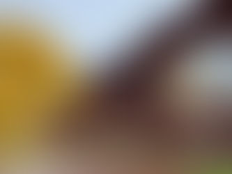 Greppa Marknaden 28.10, Åland