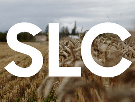 SLC:s ungdomsutbildning 2026/2027