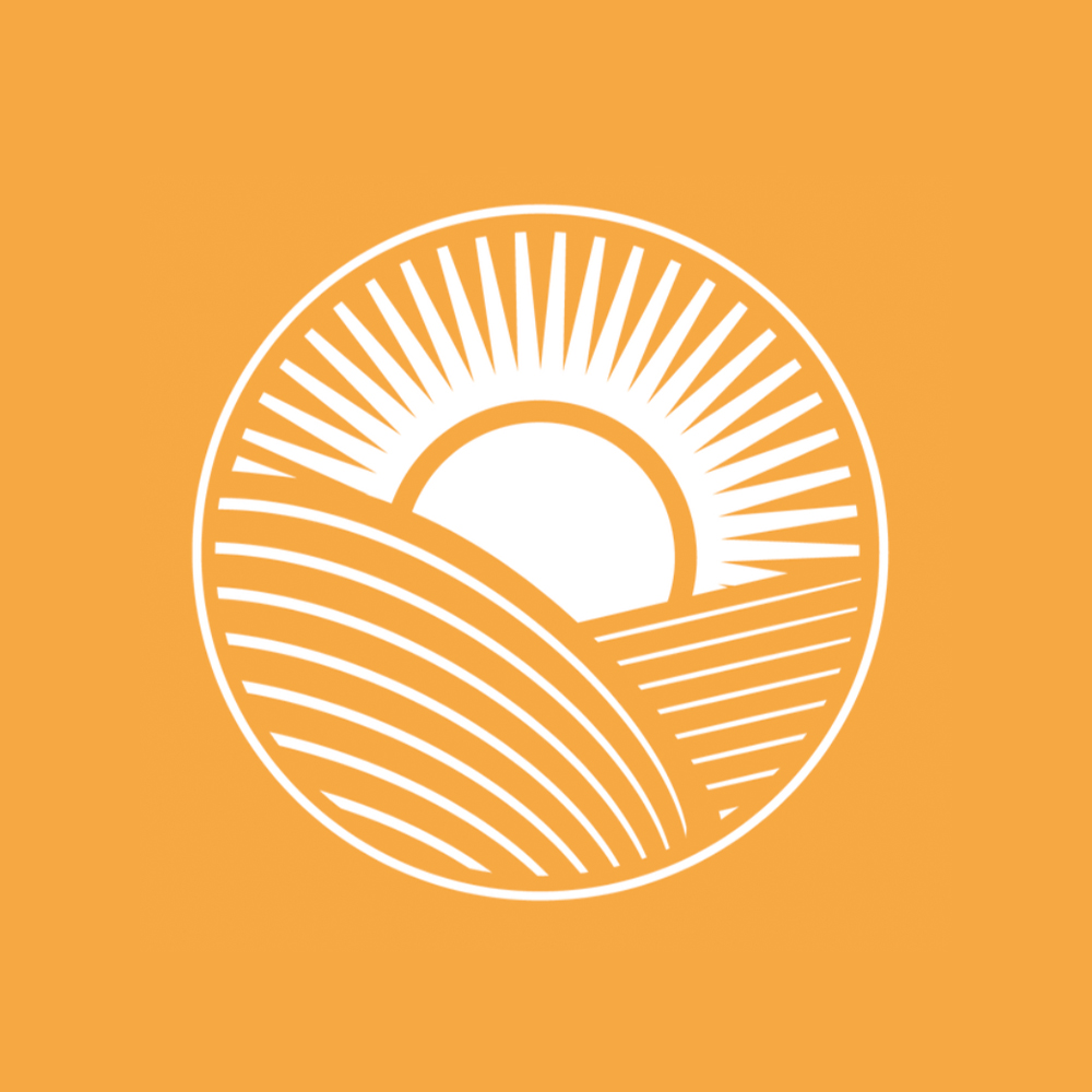 Foto del escritor: Servicios Verdes