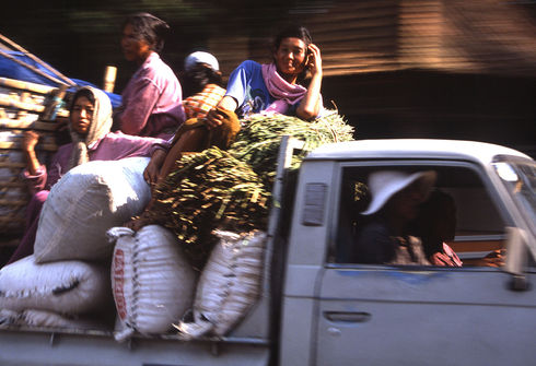 10. モンキーフォレスト通り（Jl. Monkey Forest）