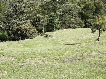 Lote 1 · Vista desde el lote
