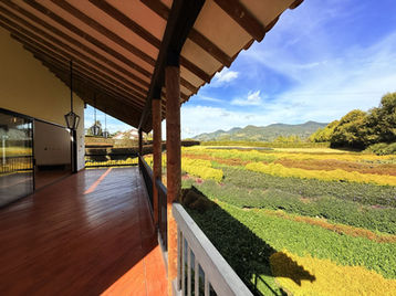 Casa 5 · Terraza con vista a los cultivos