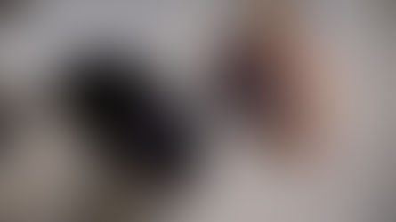 Conoce los Vinos Intipalka