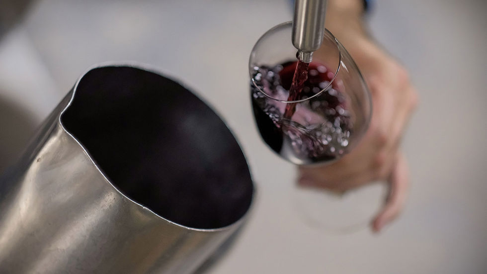 Conoce los Vinos Intipalka