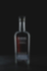 01_ScryerBotellaSilueta.jpg