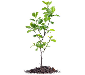 Company template (1080 x 1080 px) (10).png