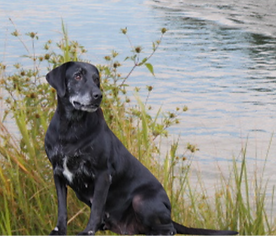 fc440cee1229d5a7b01984a20d8ca3dd (1)_edited.png