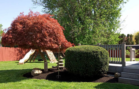 Backyard with red tree, green bush, play area, and deck