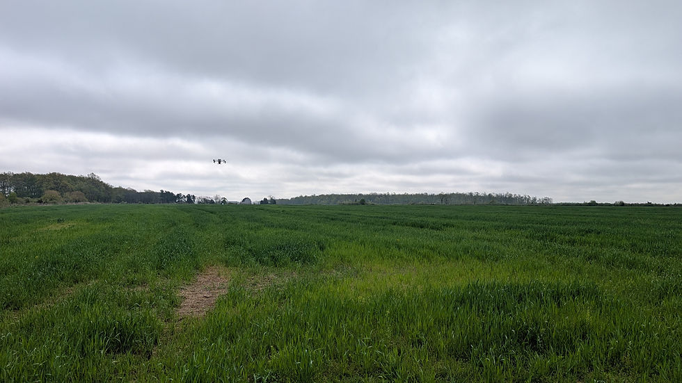 DJI T50 Spreading Clover for Organic Weed Suppression