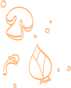 Group 634 (1).png