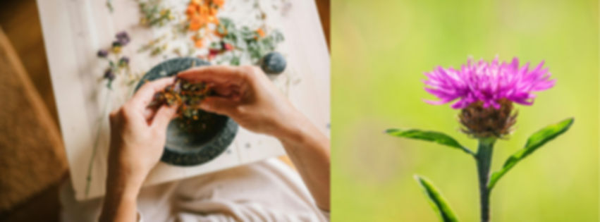 Design sans titre (2)_edited.jpg