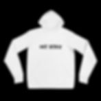 Thumbnail: John 3:16 "Everlasting Love" (Light colors) Unisex Hoodie