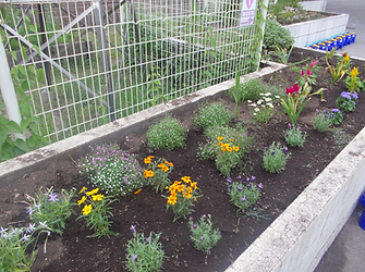 image_20260522_17.30.31.png