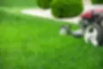 mowing-lawn.webp