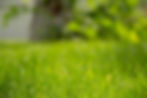pexels-rovenimagescom-949584.jpg