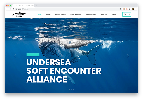 Screenshot 2020-07-14 at 16.51.37.png