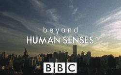 Beyond Human Senses