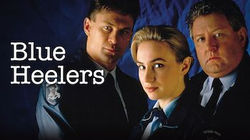 Blue Heelers