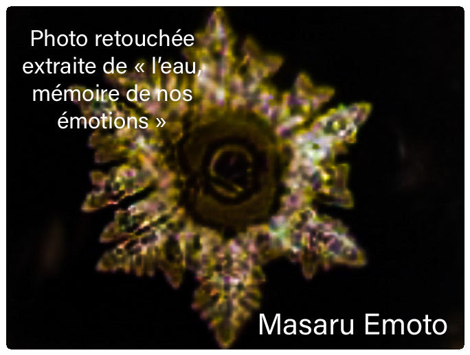 « L’eau, mémoire de nos émotions ». Par Masaru Emoto.