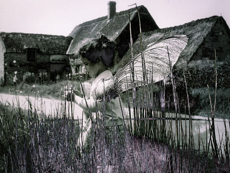 Crée_Hâtive ... mais prends ton temps !