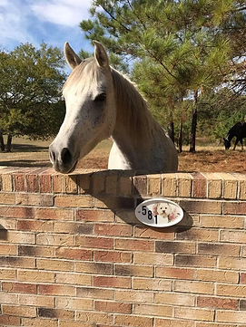 Tinnin-Dale Ranch