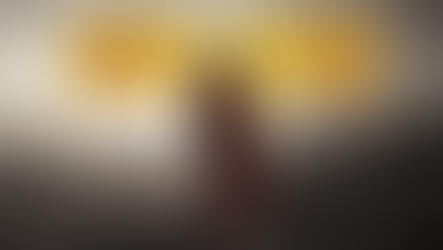 When You Encounter Jesus, Things Do Not Remain the Same!!