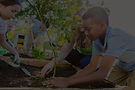 Community Gardening Activity